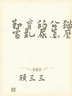 节育的公猫还到处乱尿怎么办