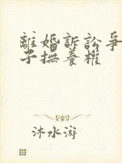 离婚诉讼争取孩子抚养权