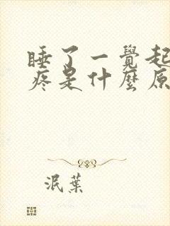 睡了一觉起来头疼是什么原因