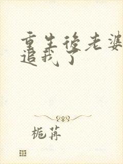 重生后老婆主动追我了