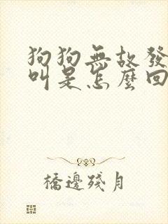 狗狗无故发抖总叫是怎么回事