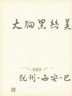 大胸黑丝美女封面