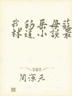 我的岳母苏沛真林道小说最新章节