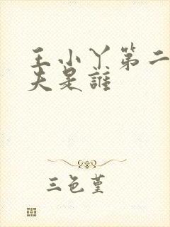 王小丫第二任丈夫是谁封面
