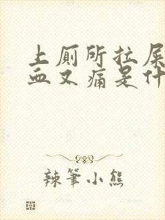 上厕所拉屎拉出血又痛是什么原因