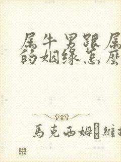 属牛男跟属牛女的姻缘怎么样