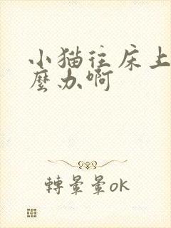 小猫往床上尿怎么办啊