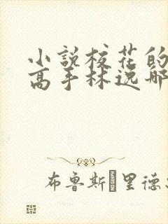 小说校花的贴身高手林逸哪可以找到