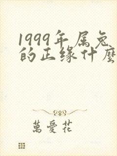 1999年属兔的正缘什么时候到