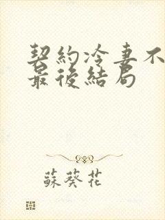 契约冷妻不好惹最后结局封面