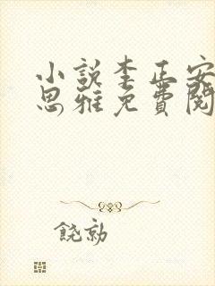 小说李正安和宋思雅免费阅读