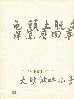 龟 头上脱皮瘙痒怎么回事