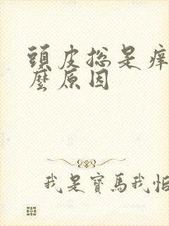 头皮总是痒痒什么原因