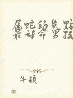 属蛇的几点出生最好命男孩封面