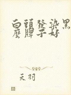 白头发染黑发什么牌子好