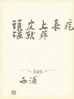 头皮上长疙瘩一碰就疼