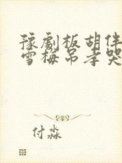 豫剧板胡伴奏秦雪梅吊孝哭灵