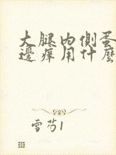 大腿内侧蛋蛋旁边痒用什么药