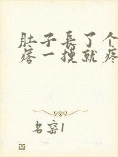 肚子长了个硬疙瘩一摸就疼封面