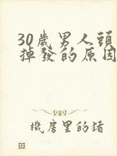 30岁男人头顶掉发的原因封面
