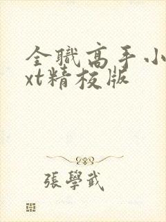 全职高手小说txt精校版