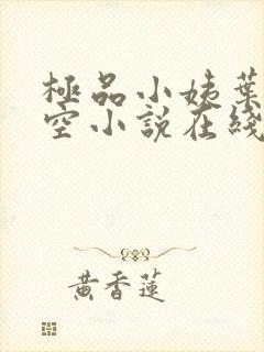 极品小姨叶凡司空小说在线阅读全文