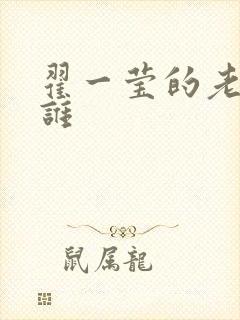 翟一莹的老公是谁封面