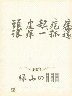 头皮起疙瘩并且很痒一抓还很疼封面