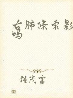 右肺条索影严重吗