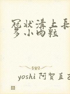 冠状沟上长了很多小肉粒封面