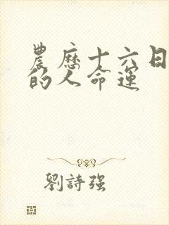 农历十六日出生的人命运封面