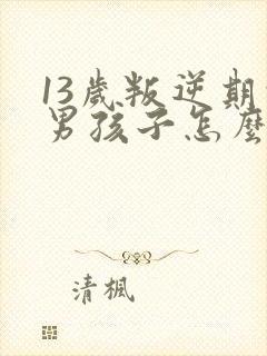 13岁叛逆期的男孩子怎么去引导