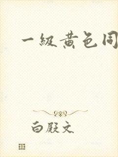 一级黄色同性恋
