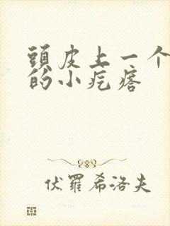 头皮上一个红色的小疙瘩