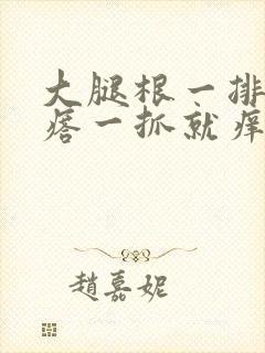 大腿根一排红疙瘩一抓就痒