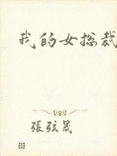 我的女总裁老婆封面