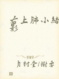 右上肺小结节样影