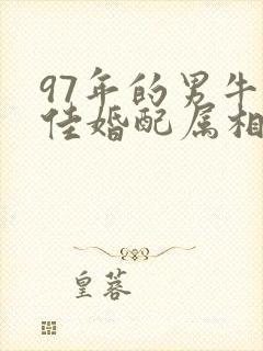 97年的男牛最佳婚配属相