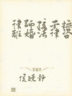 律师孩子抚养权离婚法律咨询