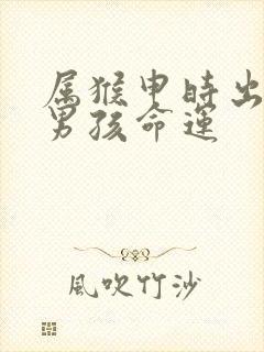 属猴申时出生的男孩命运