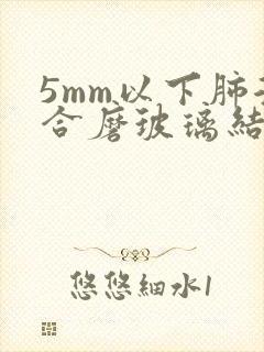 5mm以下肺混合磨玻璃结节