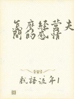 怎么经营夫妻之间的感情