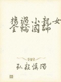 杨过小龙女大战金轮国师