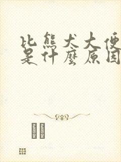 比熊犬大便带血是什么原因