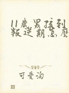 11岁男孩到了叛逆期怎么办封面