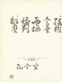 离婚两个孩子怎么判抚养权多少