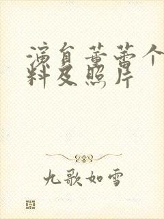 演员董蕾个人资料及照片