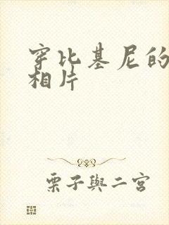 穿比基尼的美女相片