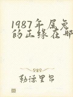 1987年属兔的正缘在哪年