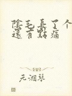 阴毛长了个疙瘩还有点痛封面